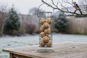 Bester Suetball-Futterautomat für Spechte im britischen Wintergarten