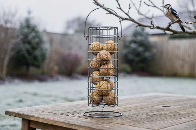 Specht mit rotem Kopf pickt an einem Suetball-Futterautomaten aus Metallnetz in einem verschneiten Garten.